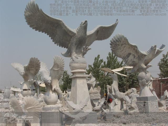 201031174410.JPG