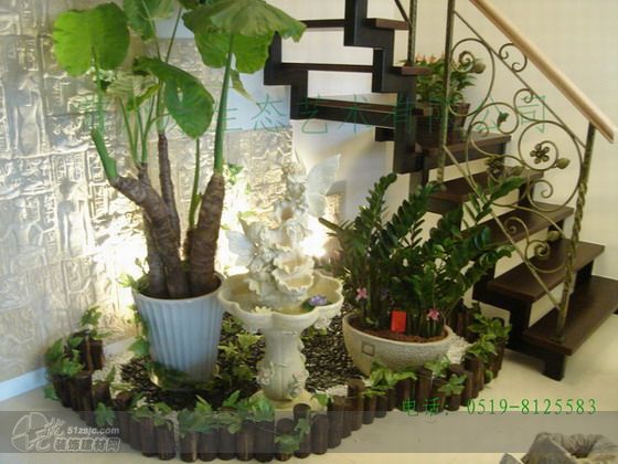 室内景观_常州原生态景观艺术有限公司作品_家居设计